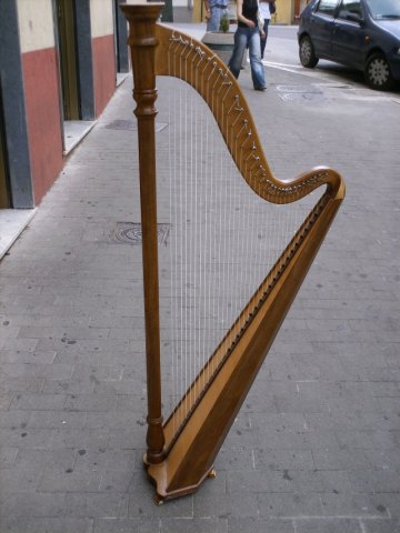 Arpa viggianese